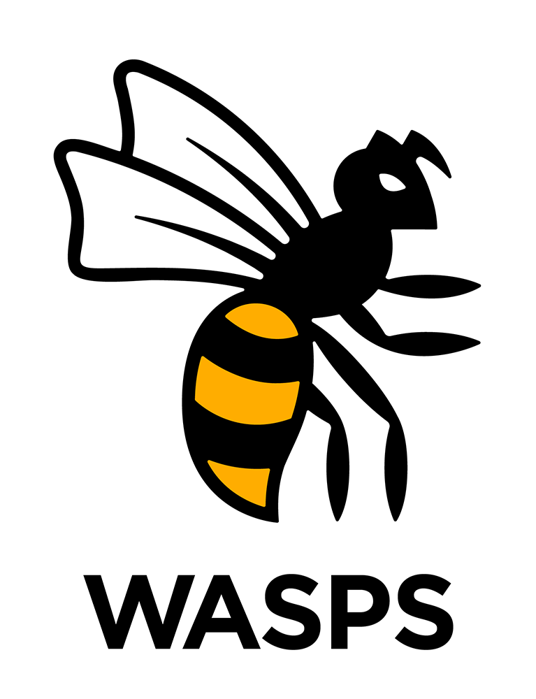 Logo for the London Wasps